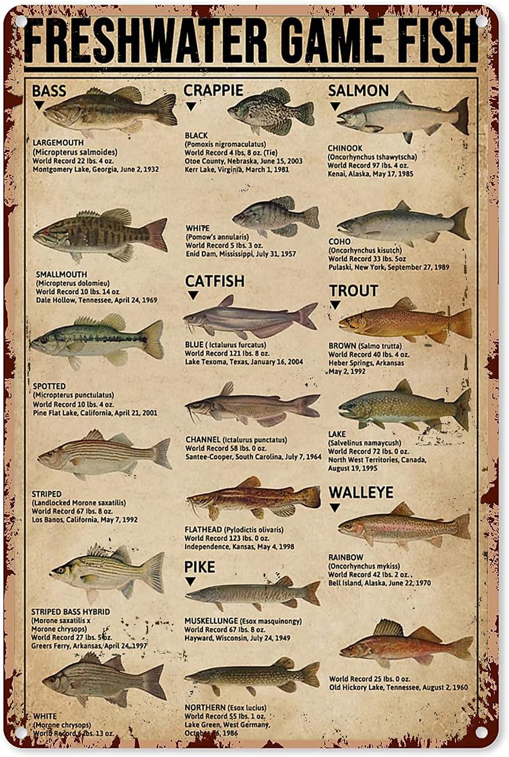 Home Improvement Game - Y1,Fishing Art Posters Metal Sign Freshwater