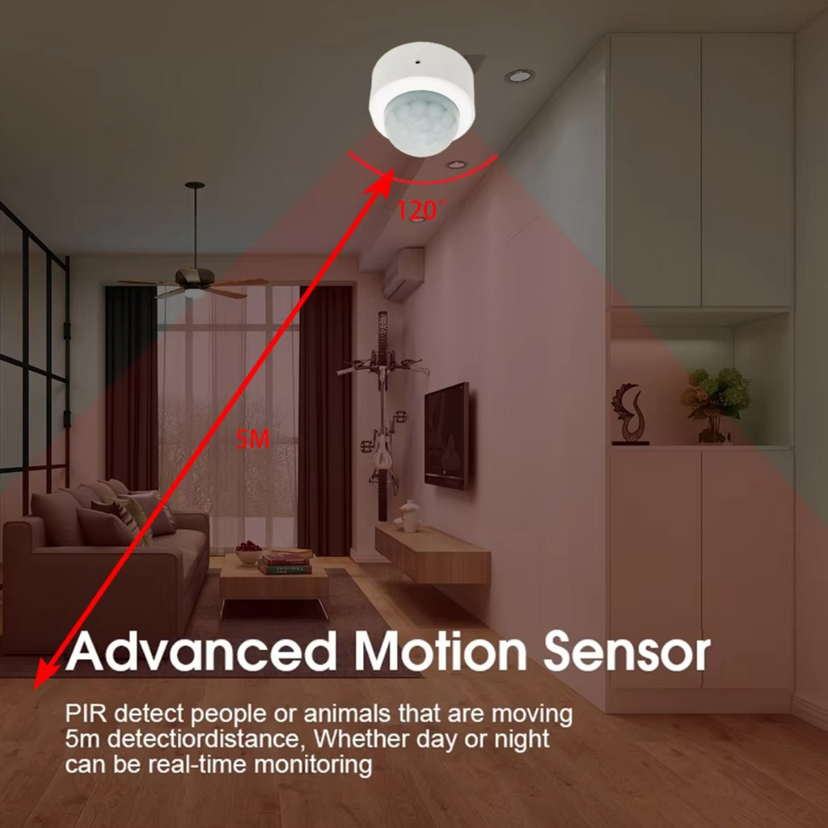 Zigbee PIR Motion Sensor Human - огляд і ціна Home Improvement Hardware